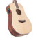 D'Angelico Guitars Premier Niagara: Picture 4 thumbnail