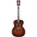 D'Angelico Guitars Premier Tammany: Picture 5 thumbnail