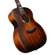 D'Angelico Guitars Premier Tammany: Picture 3 thumbnail