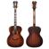 D'Angelico Guitars Premier Tammany: Picture 4 thumbnail