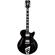 D'Angelico Guitars Premier SS: Picture 5 thumbnail