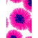 Drop it MODERN Drop it 2299 MODERN 9'x9' Flower Power F...: Picture 2 thumbnail