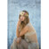 Drop it MODERN Mermaid 9x9' Backdrop: Picture 3 thumbnail