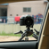 DigitalFoto Solution Limited Suction Cup: Picture 6 thumbnail