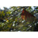 DIY Photography DIYP Bokeh Masters Kit: Picture 3 thumbnail