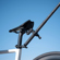 DJI Osmo Multifunctional Bike Tube Mount...: Picture 7 thumbnail