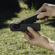 DJI Osmo Pocket 3: Picture 18 thumbnail