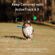 DJI Osmo Mobile SE: Picture 3 thumbnail