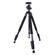 Dolica GX600B200: Picture 1 thumbnail