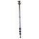 Dolica Nest LS600A: Picture 1 thumbnail