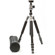 Dolica LX600B502D/S: Picture 5 thumbnail