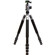 Dolica LX600B502D/S: Picture 1 thumbnail