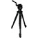 Dolica 65 inch Video Tripod with Hydraul...: Picture 1 thumbnail