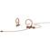 DPA Microphones d:fine FIO66C34-2 Dual-E...: Picture 1 thumbnail