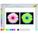 Core Learning Crayola Art Studio for PC, Download Version: Picture 3 thumbnail