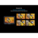 Datavideo HS-1600T Kit: Picture 19 thumbnail