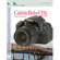 Blue Crane Digital DVD: Introduction to ...: Picture 1 thumbnail
