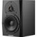 Dynaudio LYD 5: Picture 1 thumbnail