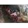 DZOFILM Catta Zoom: Picture 6 thumbnail