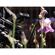 DZOFILM X-TRACT 18-28MM T8: Picture 4 thumbnail