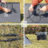 EcoFlow Solar Panel Charger: Picture 6 thumbnail