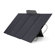 EcoFlow Solar Panel: Picture 1 thumbnail