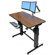Ergotron WorkFit-D Sit-Stand Desk, Walnut Surface: Picture 2 thumbnail