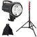 Elinchrom RX 4: Picture 1 thumbnail