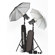 Elinchrom D-Lite 2/4 it Starter to Go Set with Two Monolights, Stands, Plug-In Flash Tube, Protective Hood: Picture 5 thumbnail