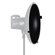 Elinchrom Softlite Beauty Dish Grid: Picture 1 thumbnail