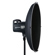 Elinchrom Softlite Beauty Dish Grid: Picture 3 thumbnail
