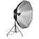 Elinchrom Octa Hybrid SoftBox: Picture 2 thumbnail