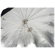 Elinchrom Deep Umbrella: Picture 2 thumbnail