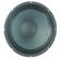 Eminence Speakers ALPHA-10A: Picture 1 thumbnail