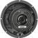 Eminence Speakers ALPHA-8A: Picture 1 thumbnail
