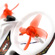 Emax EZ Pilot Beginner Kit: Picture 4 thumbnail