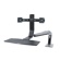 Ergotron WorkFit-A: Picture 1 thumbnail