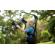 Easyrig Vario Strong 5, STABIL G2 and Sm...: Picture 5 thumbnail
