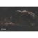 Explore Scientific AR102: Picture 3 thumbnail