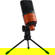 ESI The PRODUCER Recording Bundle with P...: Picture 6 thumbnail