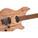 EVH Wolfgang Standard Exotic Electric Gu...: Picture 6 thumbnail