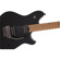 EVH Wolfgang Standard: Picture 6 thumbnail