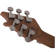 EVH Wolfgang Standard: Picture 10 thumbnail