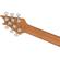 EVH Wolfgang Standard Exotic Poplar Burl...: Picture 6 thumbnail
