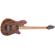 EVH Wolfgang Standard: Picture 5 thumbnail