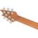 EVH Wolfgang Standard Exotic Laurel Burl...: Picture 6 thumbnail