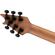 EVH Wolfgang Standard: Picture 7 thumbnail
