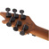 EVH Wolfgang Standard: Picture 10 thumbnail