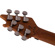 EVH Wolfgang Standard QM: Picture 10 thumbnail