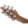 EVH Wolfgang Standard QM: Picture 10 thumbnail